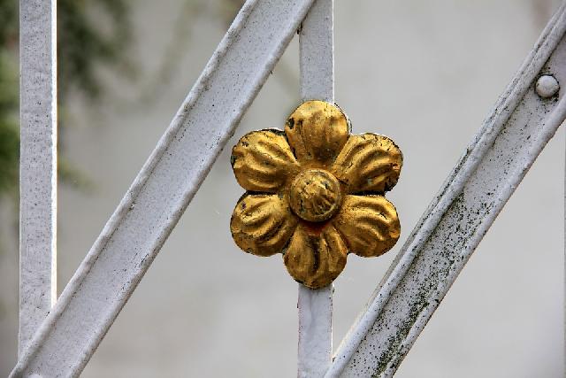 cancello fiore dorato